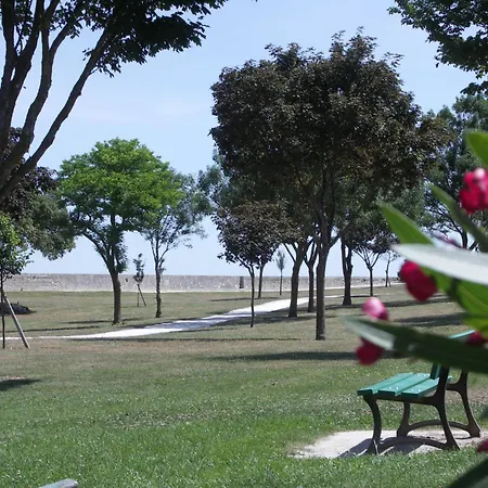 Lägenhet Les Mouettes Cosy Avec Piscine