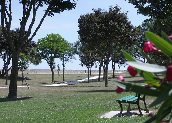 Appartement Les Mouettes Cosy Avec Piscine